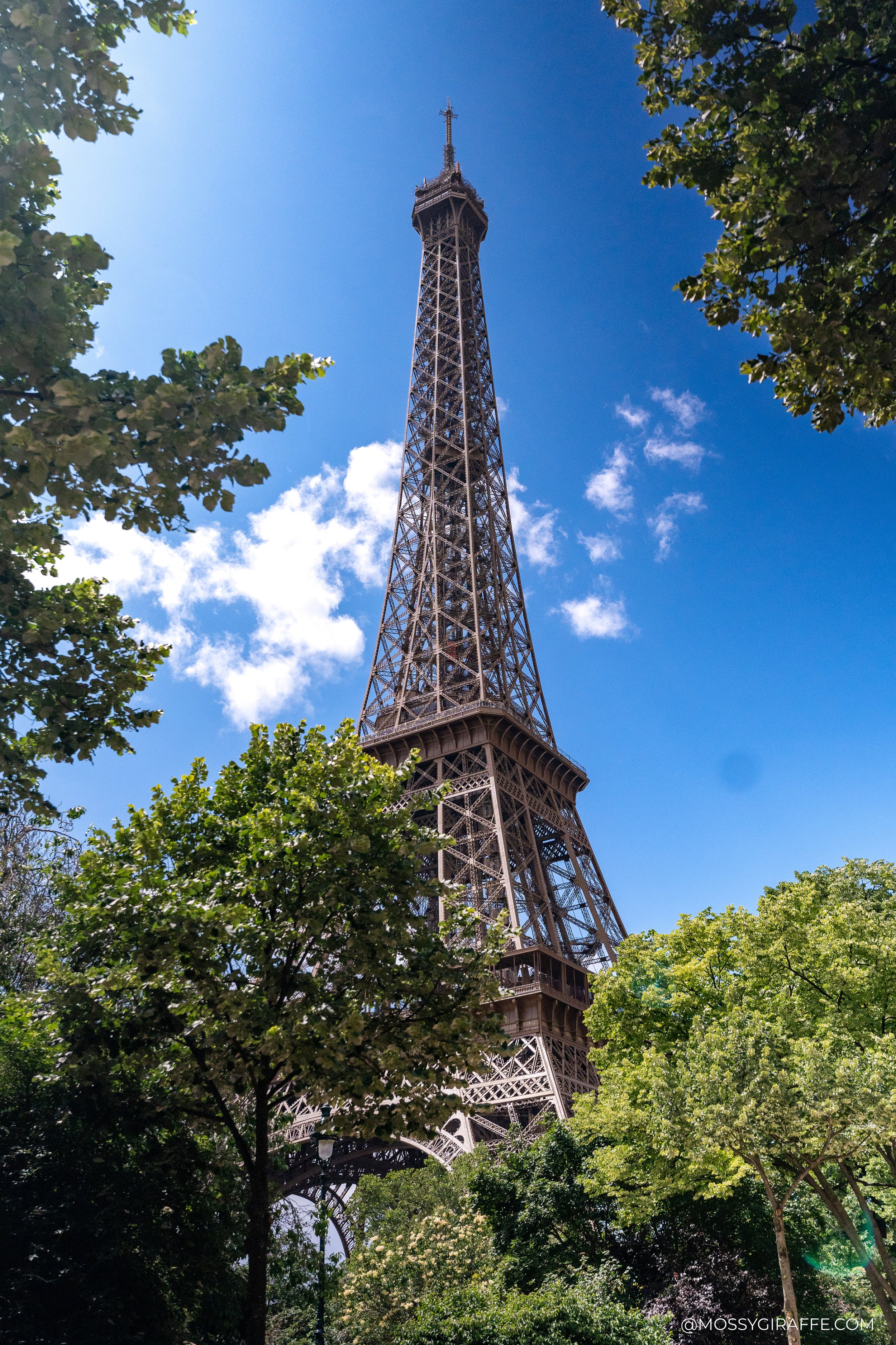 Classic Parisian architecture with ornamental ironwork balconies