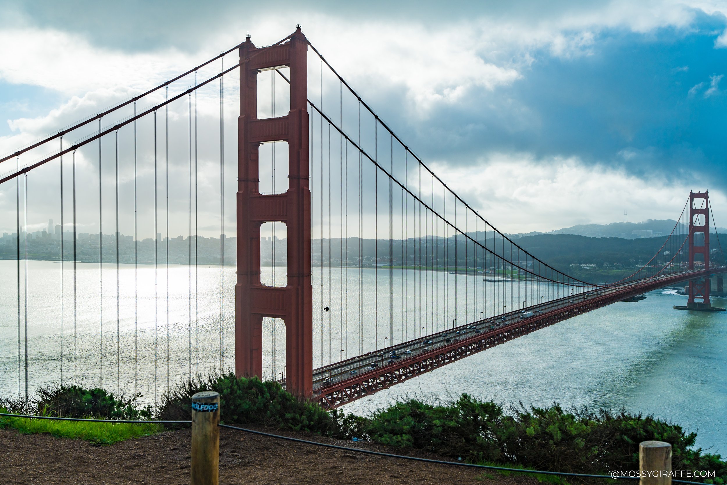 San Francisco cityscape with iconic skyline and fog